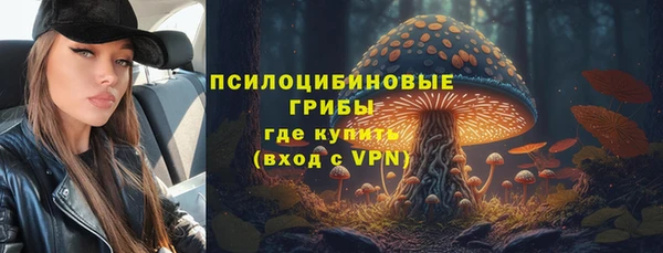 тгк Краснотурьинск