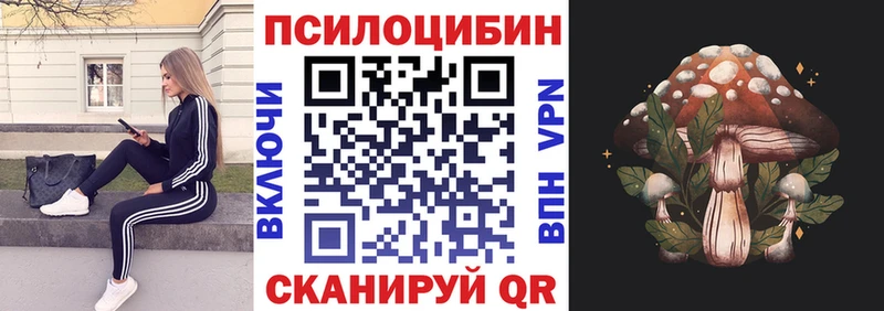 сколько стоит  Тында  даркнет как зайти  Галлюциногенные грибы GOLDEN TEACHER 