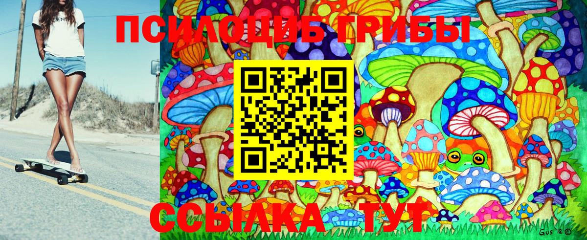 Псилоцибиновые грибы мицелий  Галлюциногенные грибы Psilocybe  Тында 