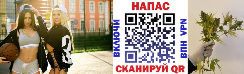 Канабис THC 21%  MEGA ТОР  Тында  сколько стоит 